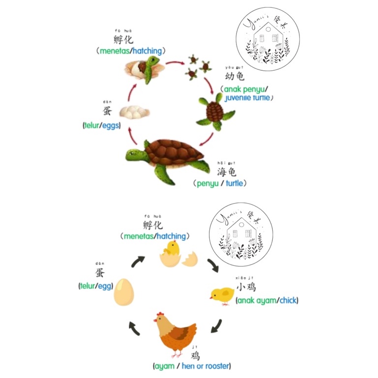 cc95b077f2d6e9975dae1685bad34599