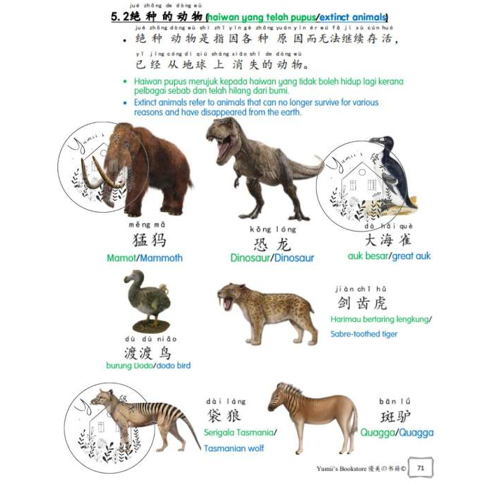 my-11134207-7r98y-lnk3wy7do6v0f7