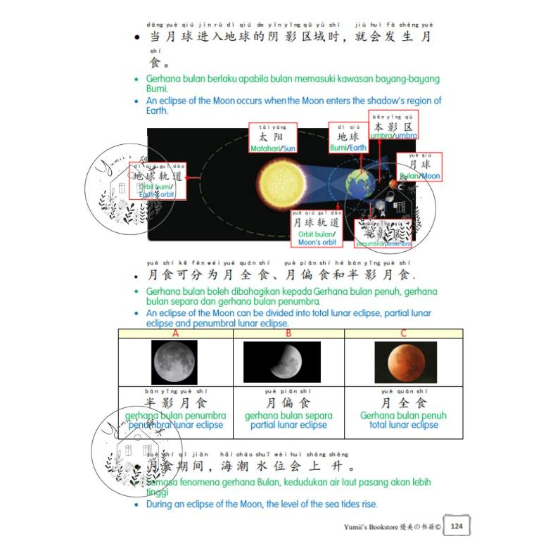 my-11134207-7r98y-lnk6m4n095toc2