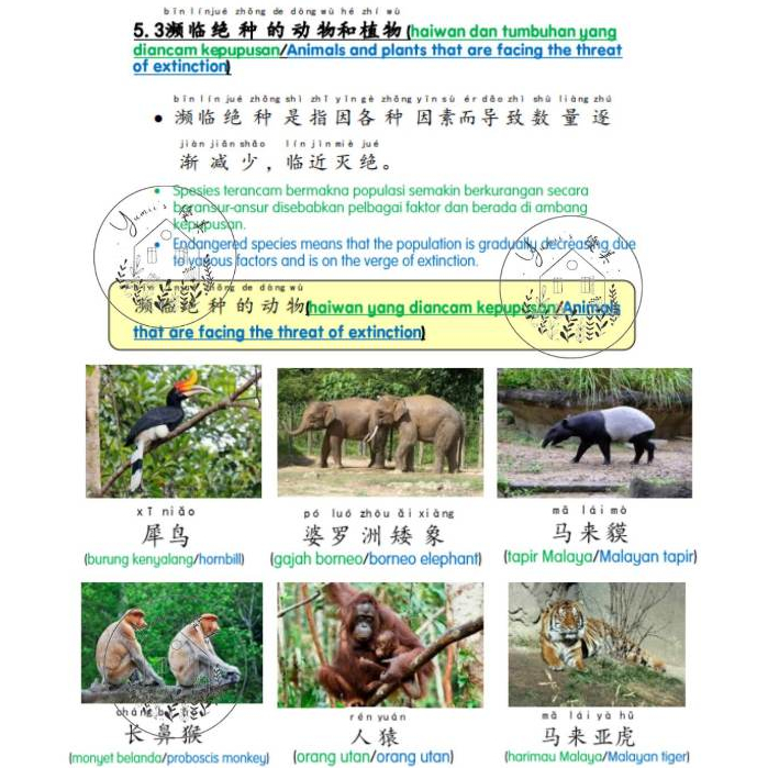 my-11134207-7r990-lnk6m4n04y4c46